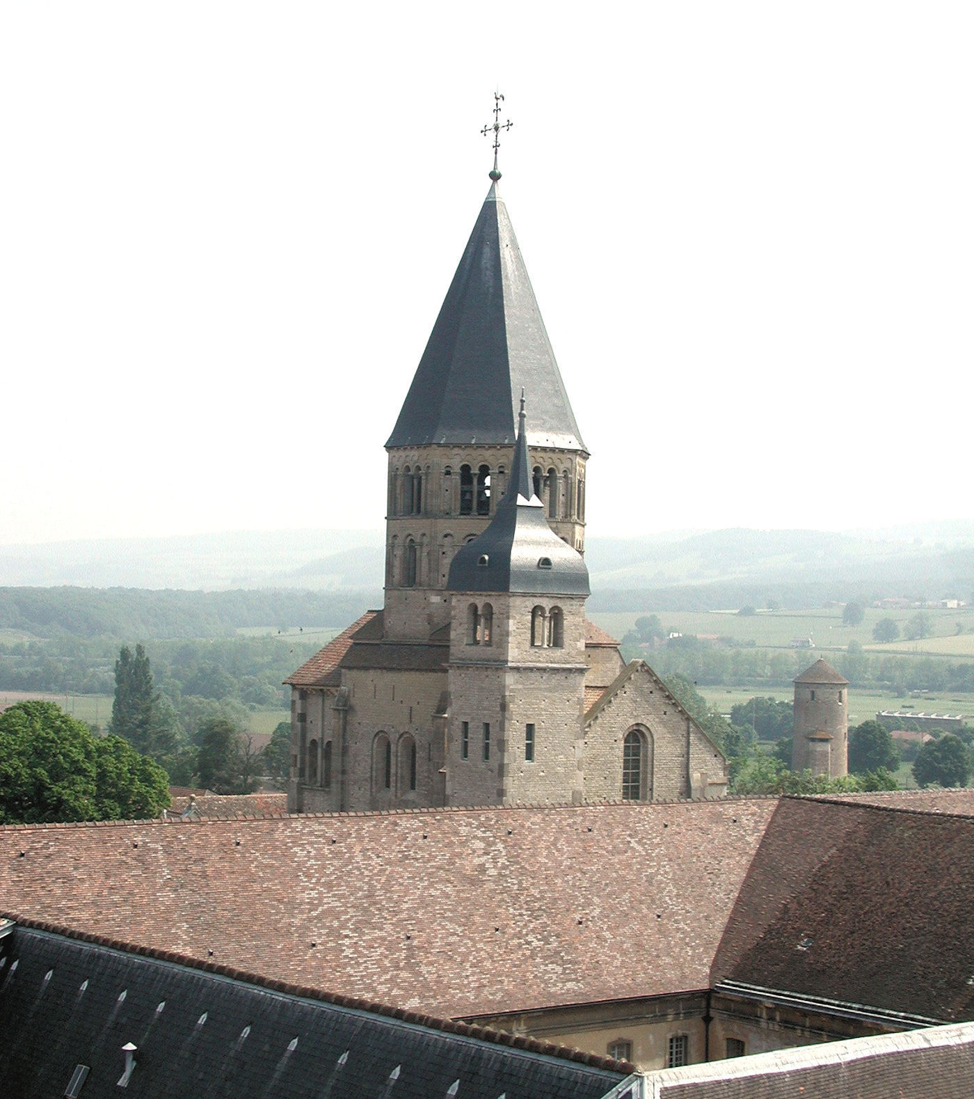 Cluny Early Medieval Archaeology